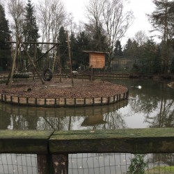 Dimensionering vijvers Zoo Veldhoven