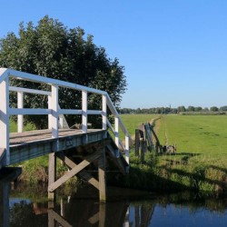 Watersysteemanalyse Midden-Delfland